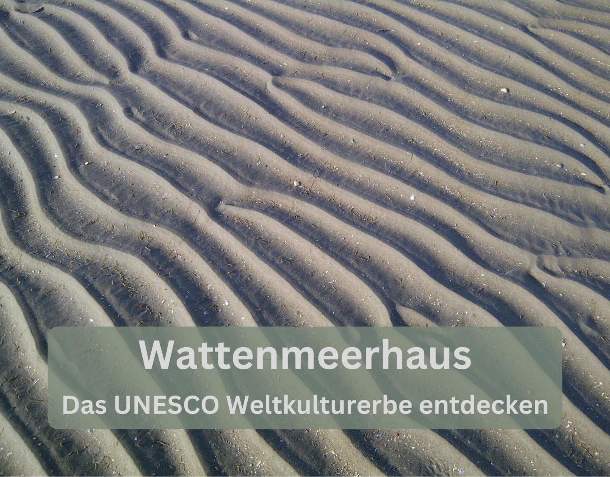 Appartement Lodge94 - Tinyhouse Kleiner Luxus Wilhelmshaven