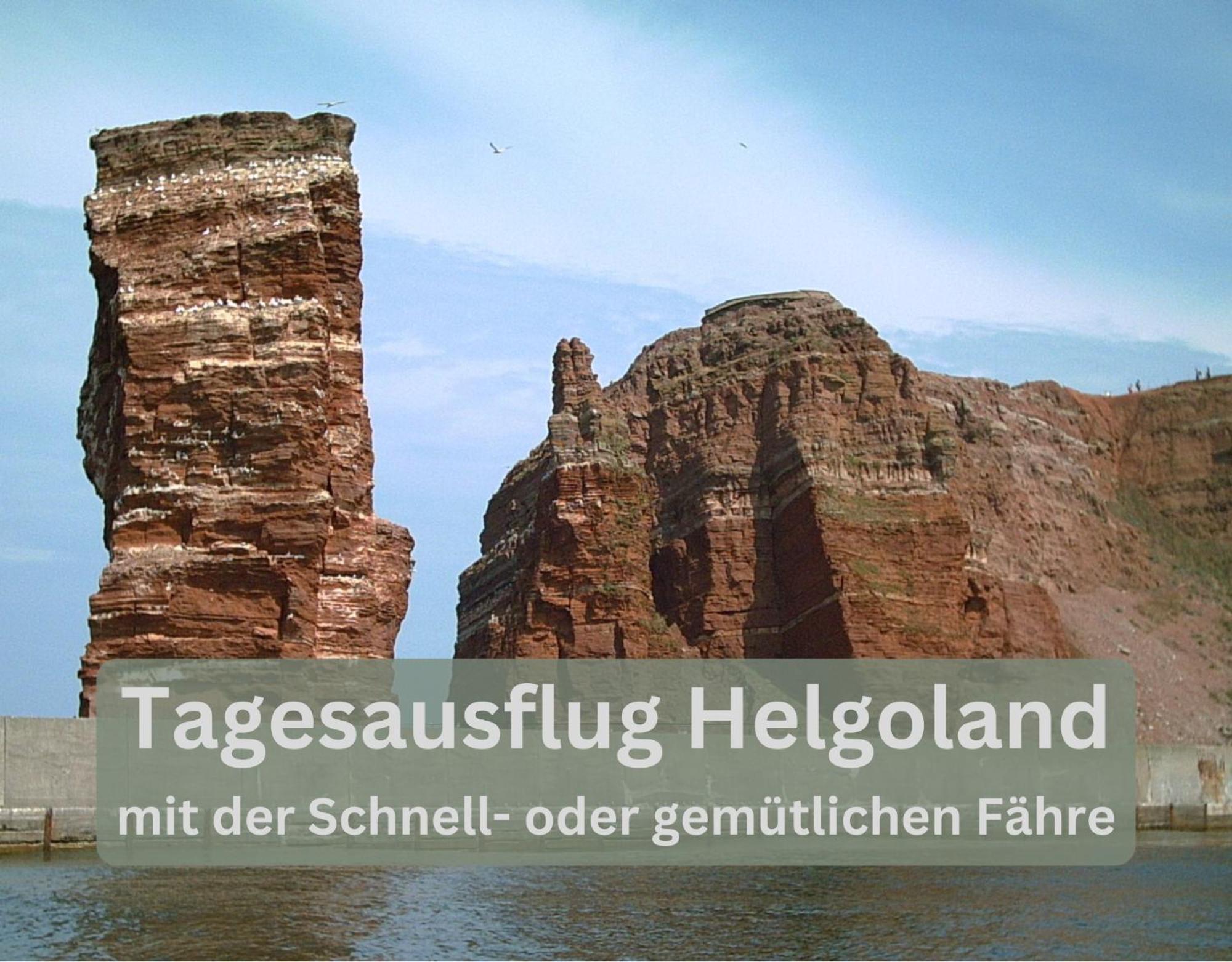 Lodge94 - Tinyhouse Kleiner Luxus Appartement *